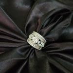 Celeste Regal Moissanite Band Ring